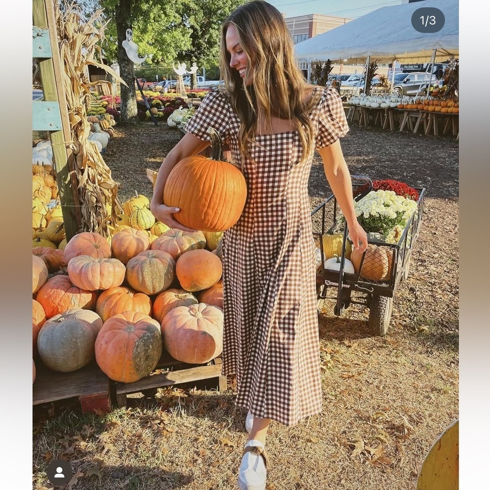 Show me your Mumu Mia Midi Dress Brown Gingham - Picture 3 of 11